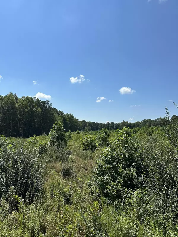 Tracy City, TN 37387,Tract 12 Dykes Hollow Road