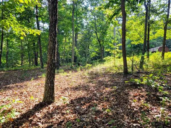 Apison, TN 37302,12730 Weatherly Switch RD