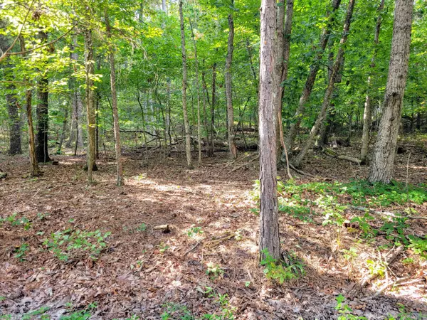 Apison, TN 37302,12730 Weatherly Switch RD