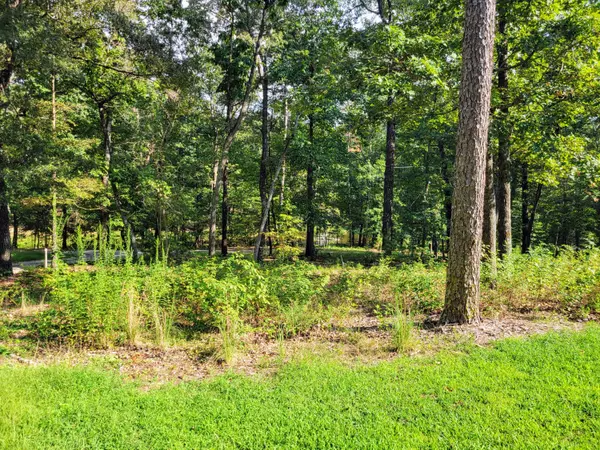 Apison, TN 37302,12730 Weatherly Switch RD