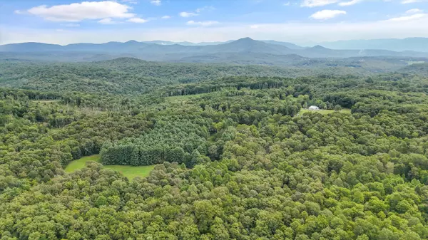 Lancing, TN 37770,704 Annadell RD