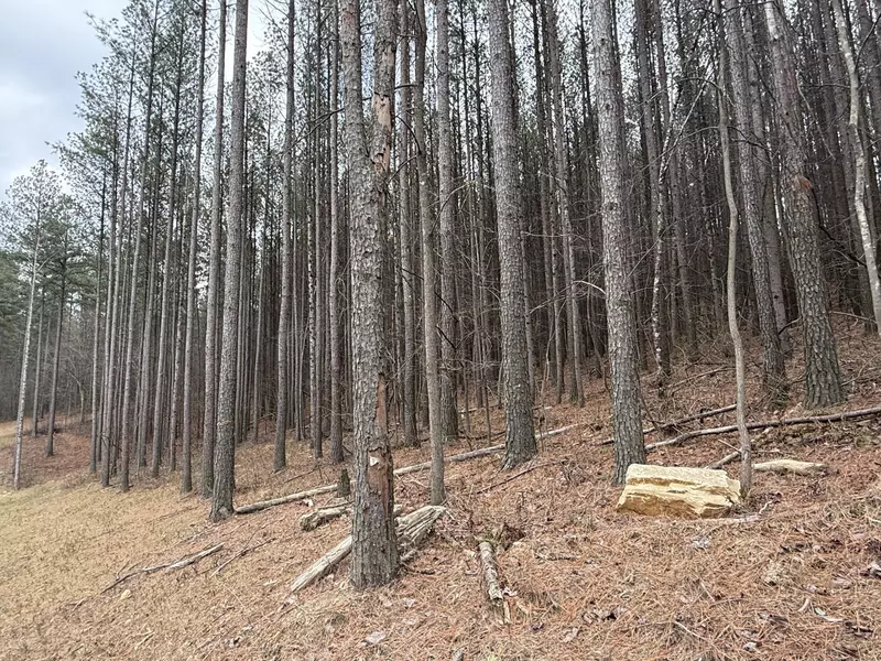 0 Birds Eye WAY, Guild, TN 37340