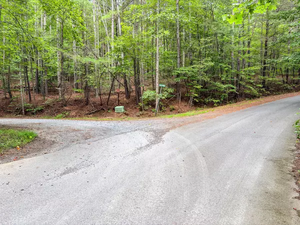 Ellijay, GA 30540,372 Emerald Springs LN