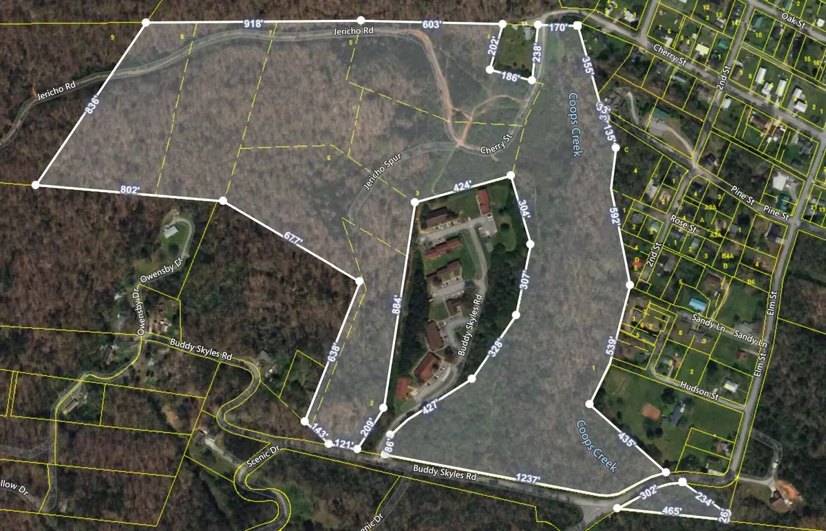 Dunlap, TN 37327,0 Buddy Skyles Tract 1 RD