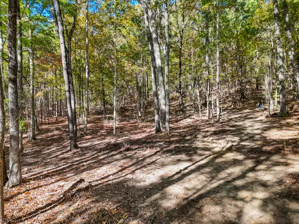 Mcdonald, TN 37353,Lot 7 Mcdonald Road