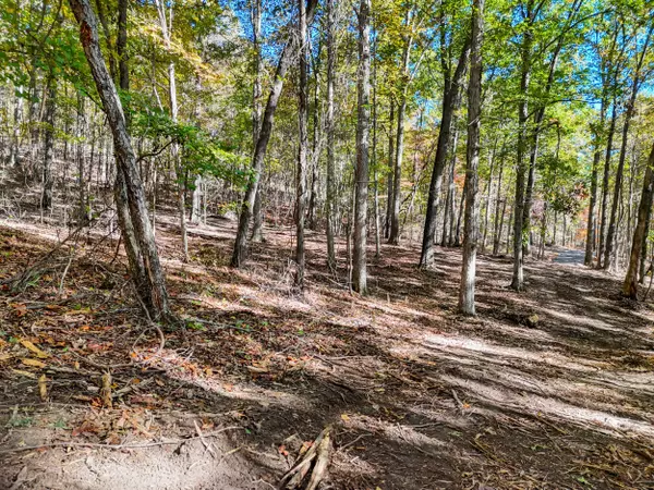 Mcdonald, TN 37353,Lot 7 Mcdonald Road