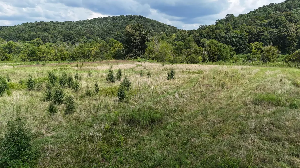 Riceville, TN 37370,0 County Road 60