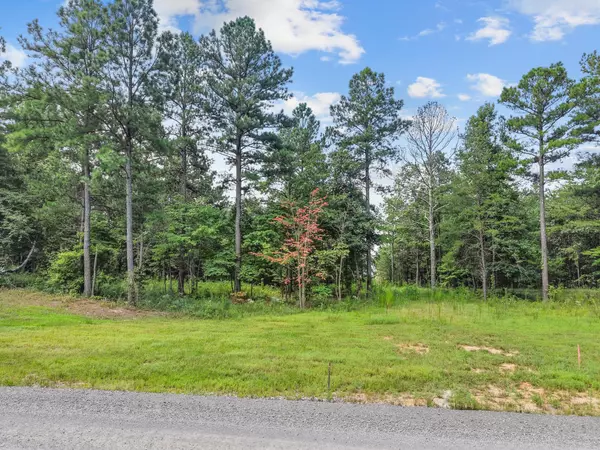 Guild, TN 37340,0 Buck Crossing DR