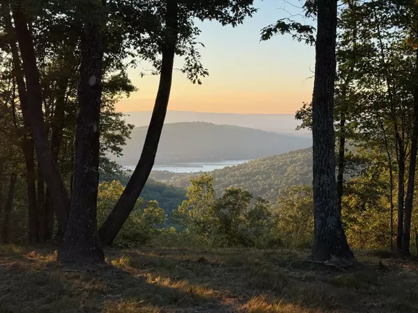 Lot 1070 Birds Eye WAY, Guild, TN 37340