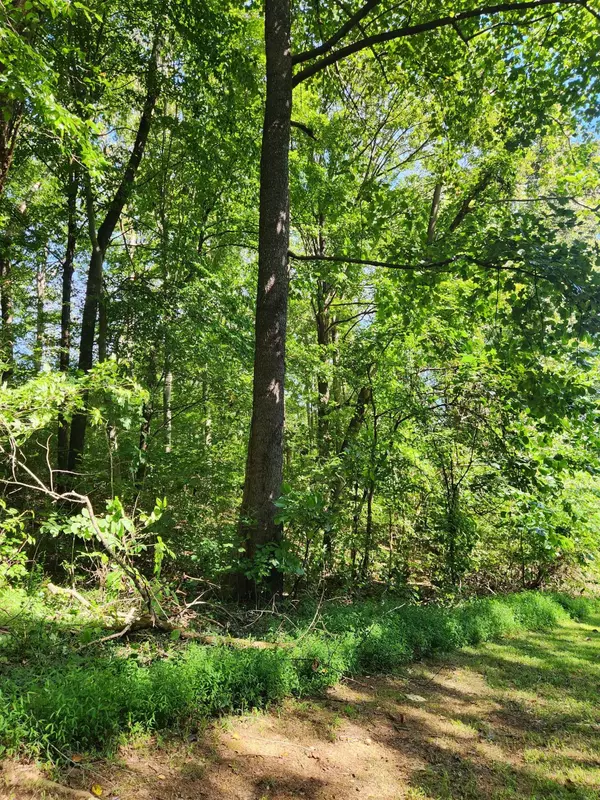 Dunlap, TN 37327,0 Old State Highway 28