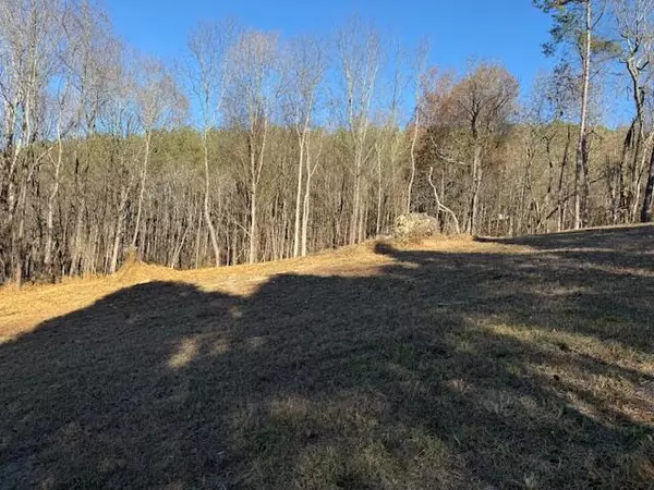 Spring City, TN 37381,Lot 22 Moon CIR