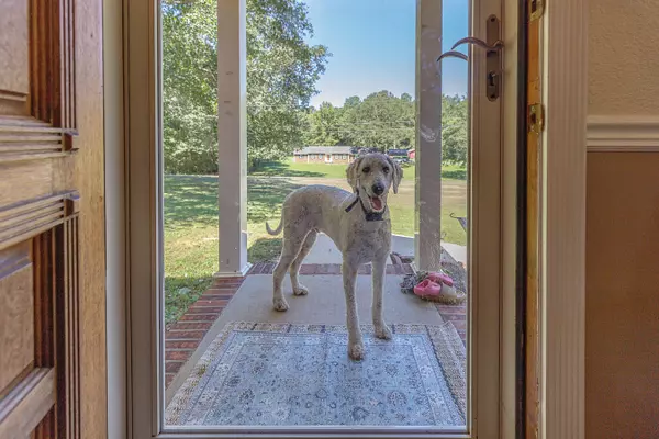 Trion, GA 30753,164 Pine ST