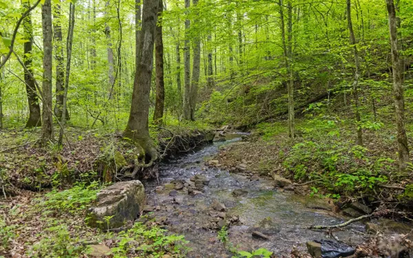 South Pittsburg, TN 37380,7335 Pittsburg Mountain RD