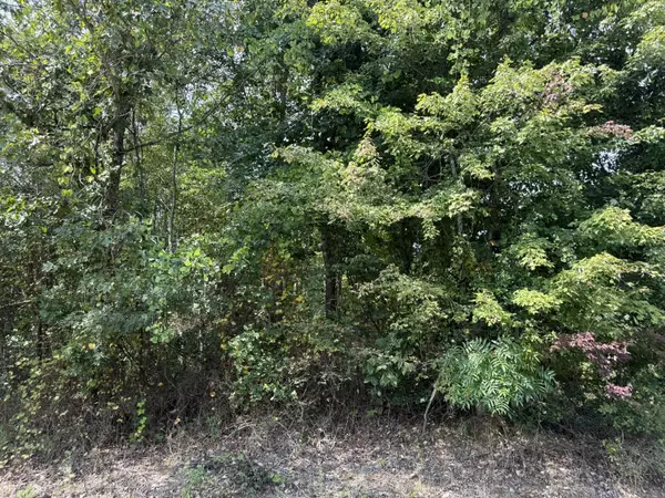 Bryant, AL 35958,5.1 Ac County Road 159