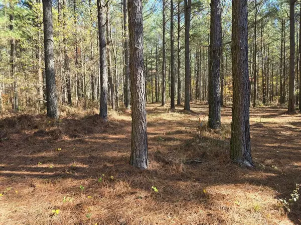 Guild, TN 37340,00 Melody DR