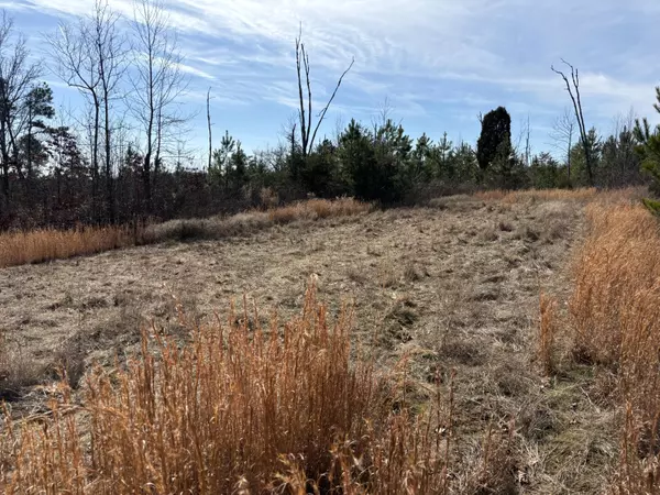 Evensville, TN 37332,0 Vaughn Mill RD