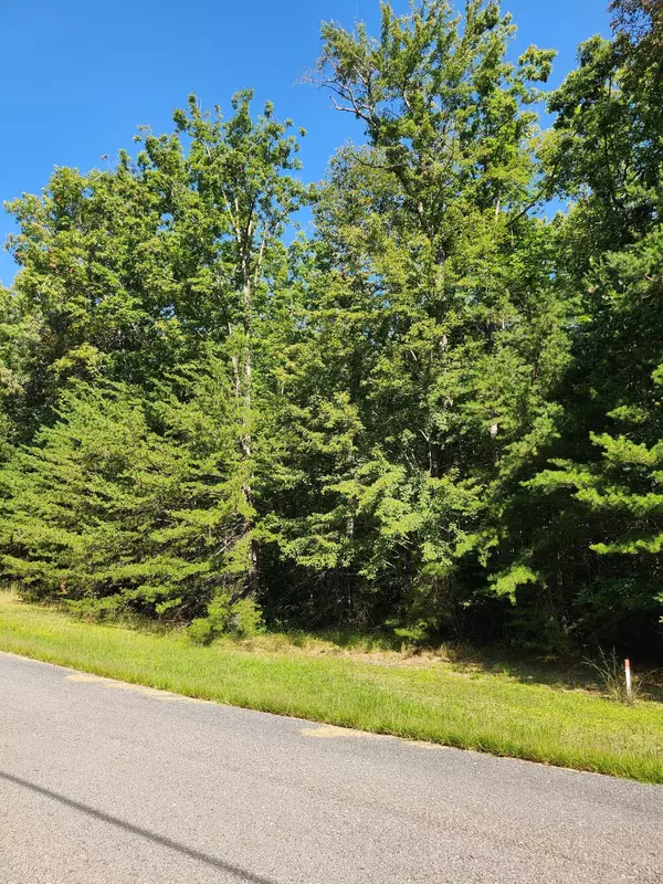 Spencer, TN 38585,0 Ridge View LN