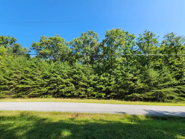 Spencer, TN 38585,0 Ridge View LN