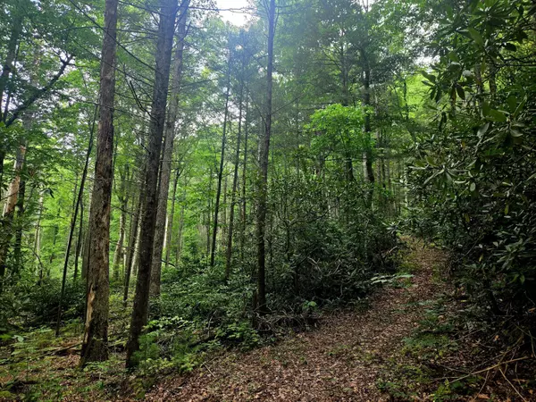 Tellico Plains, TN 37385,0 Holder Cemetery RD