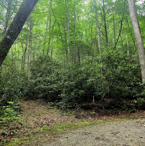 0 Holder Cemetery RD, Tellico Plains, TN 37385