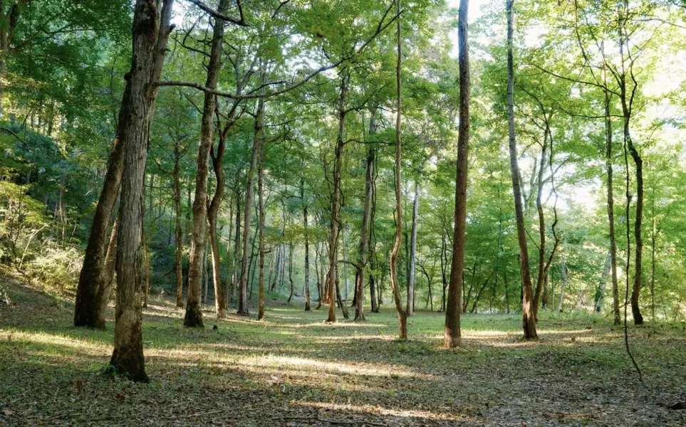 9b Sturgeon Creek RD, Cedar Hill, TN 37032