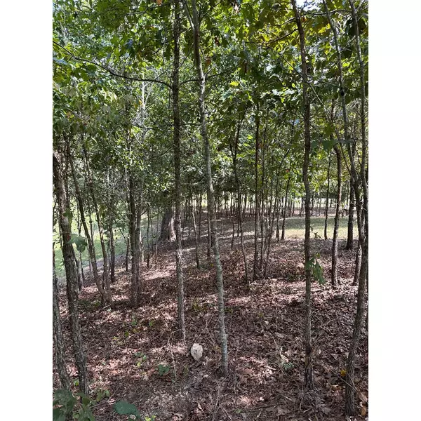 Sale Creek, TN 37373,16653 Star CIR