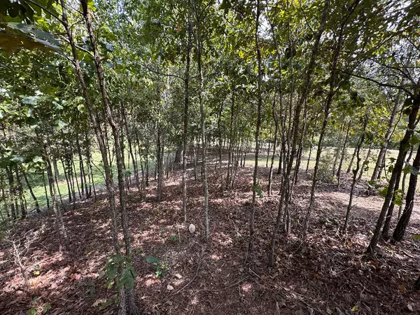 Sale Creek, TN 37373,16653 Star CIR