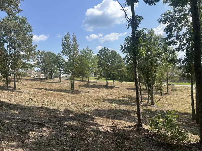 9 Stonegate PL, Cohutta, GA 30710