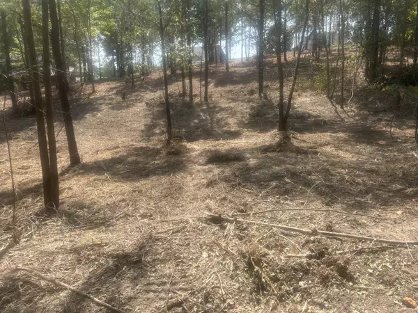 Cohutta, GA 30710,13 Stonechase LN