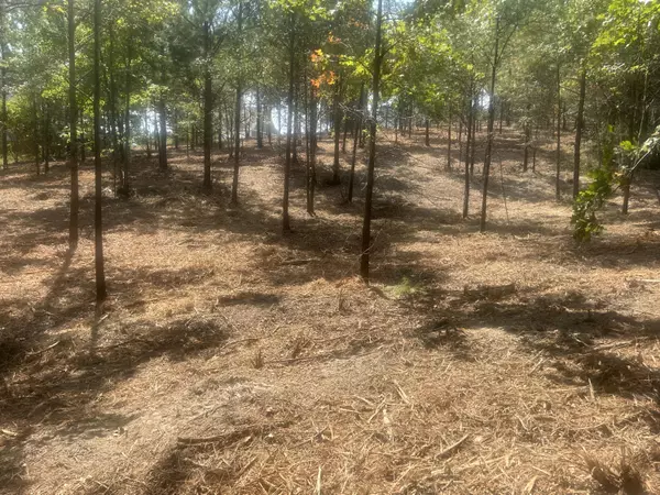 Cohutta, GA 30710,13 Stonechase LN