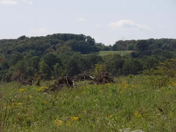 Evensville, TN 37332,100 Summer City RD