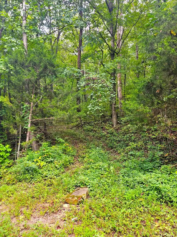 Dayton, TN 37321,0 Sussex Lot 18 RD