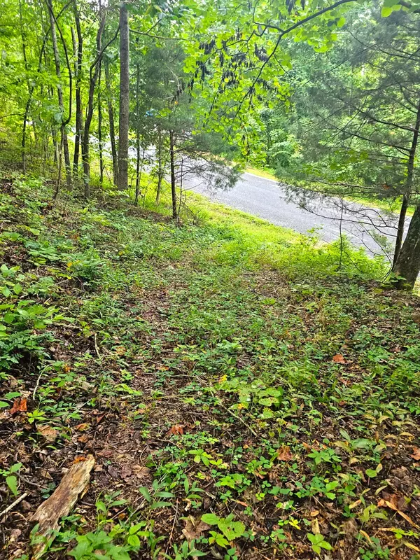 Dayton, TN 37321,0 Sussex Lot 18 RD