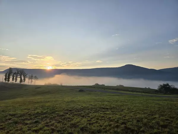 Dunlap, TN 37327,1108 Neergaard LN