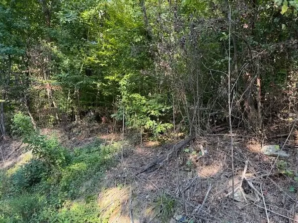 Whitwell, TN 37397,Lot 13 Mullins Cove Road