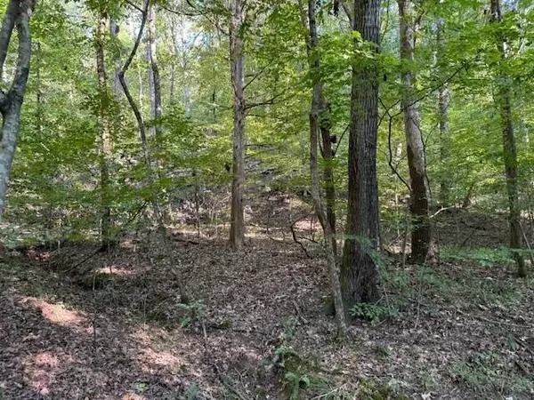 Whitwell, TN 37397,Lot 5 Mullins Cove Road