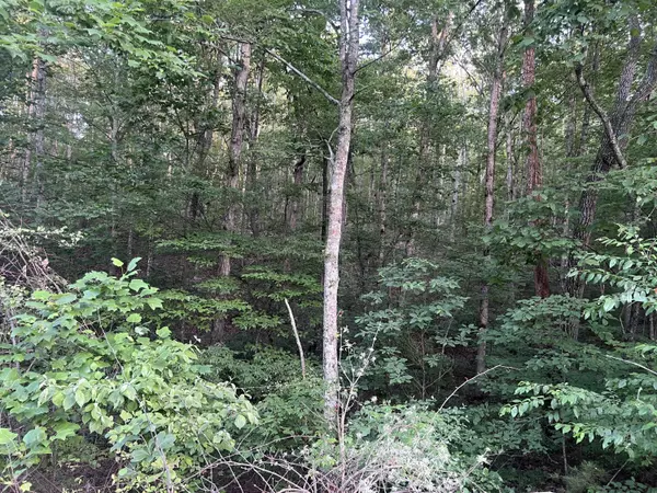 South Pittsburg, TN 37380,45 Wohalie LN