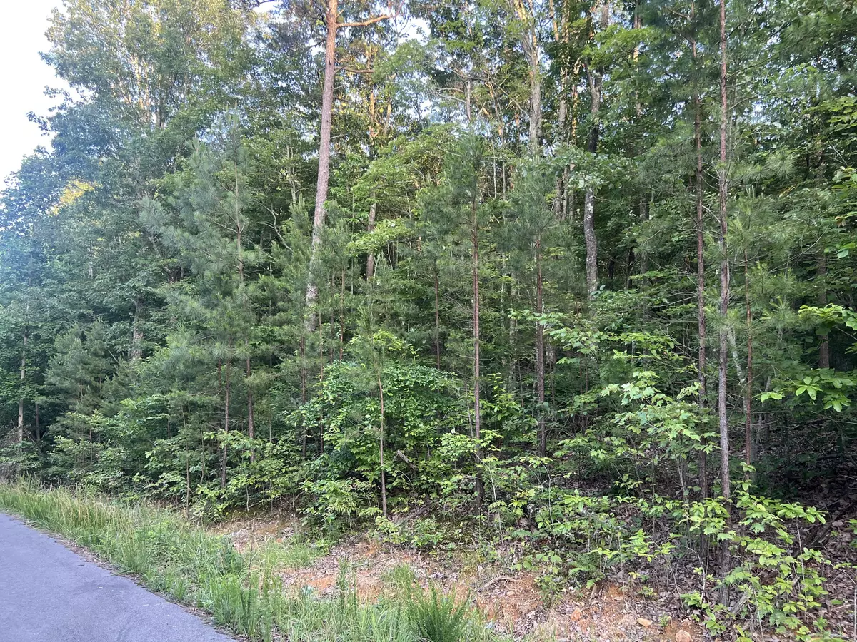 South Pittsburg, TN 37380,45 Wohalie LN