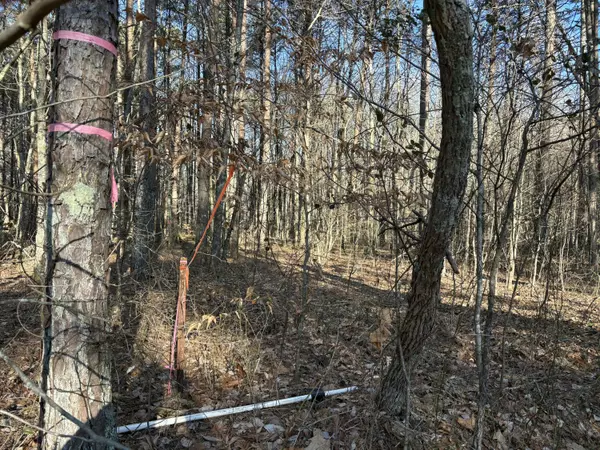 Kimball, TN 37347,3 Timber Ridge DR
