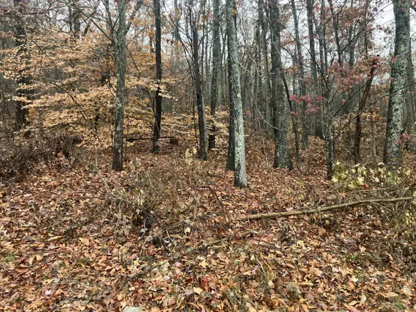 5 Timber RDG, Kimball, TN 37347