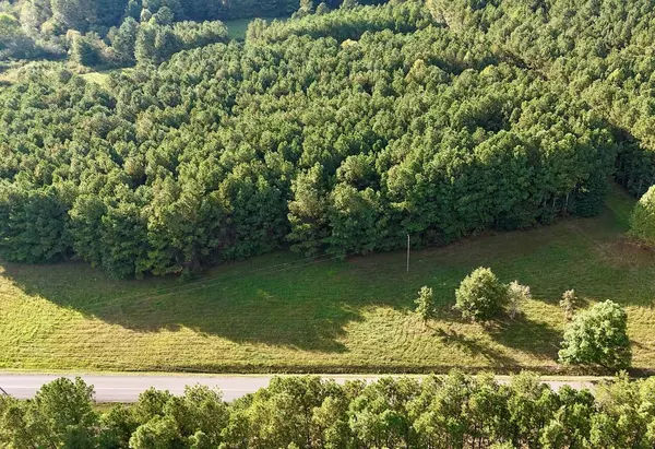 Old Fort, TN 37362,00 Bucks Pocket Rd South RD