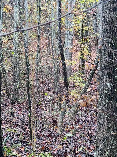 00 Sims RD, Decatur, TN 37322