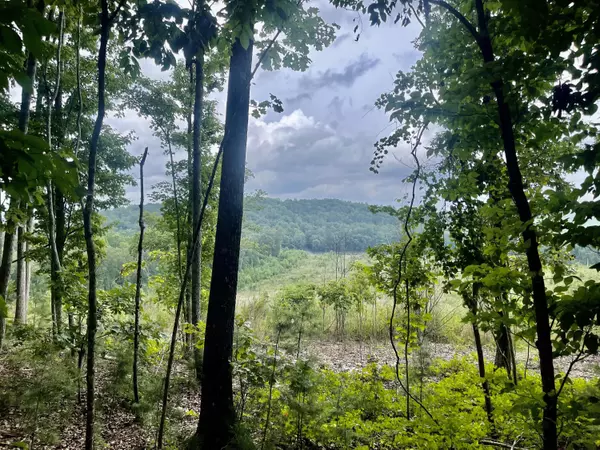 00 White Oak RD, Summerville, GA 30747