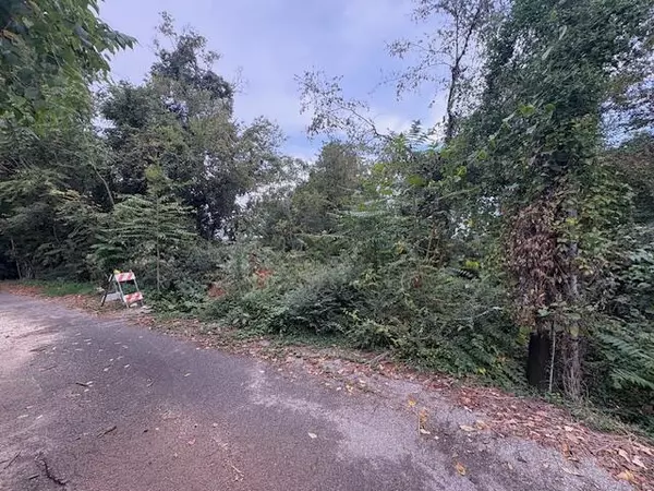 Chattanooga, TN 37404,248 Buena Vista DR