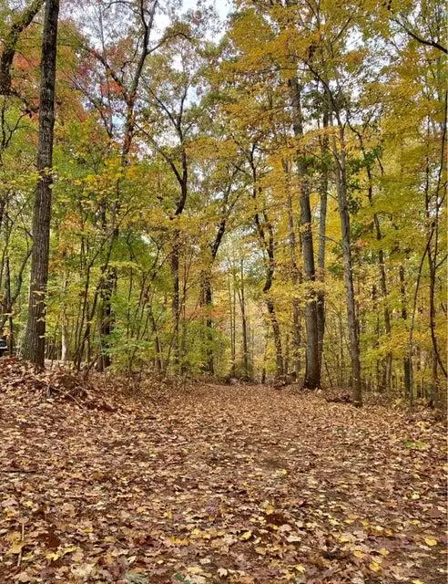 Calhoun, TN 37309,359 Co Rd 4