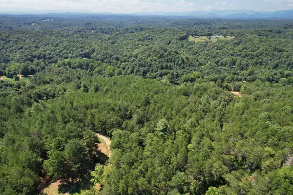 Copperhill, TN 37317,00 Staffordtown RD