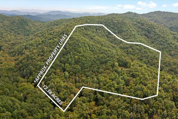 0 Grassy Mountain RD, Chatsworth, GA 30705