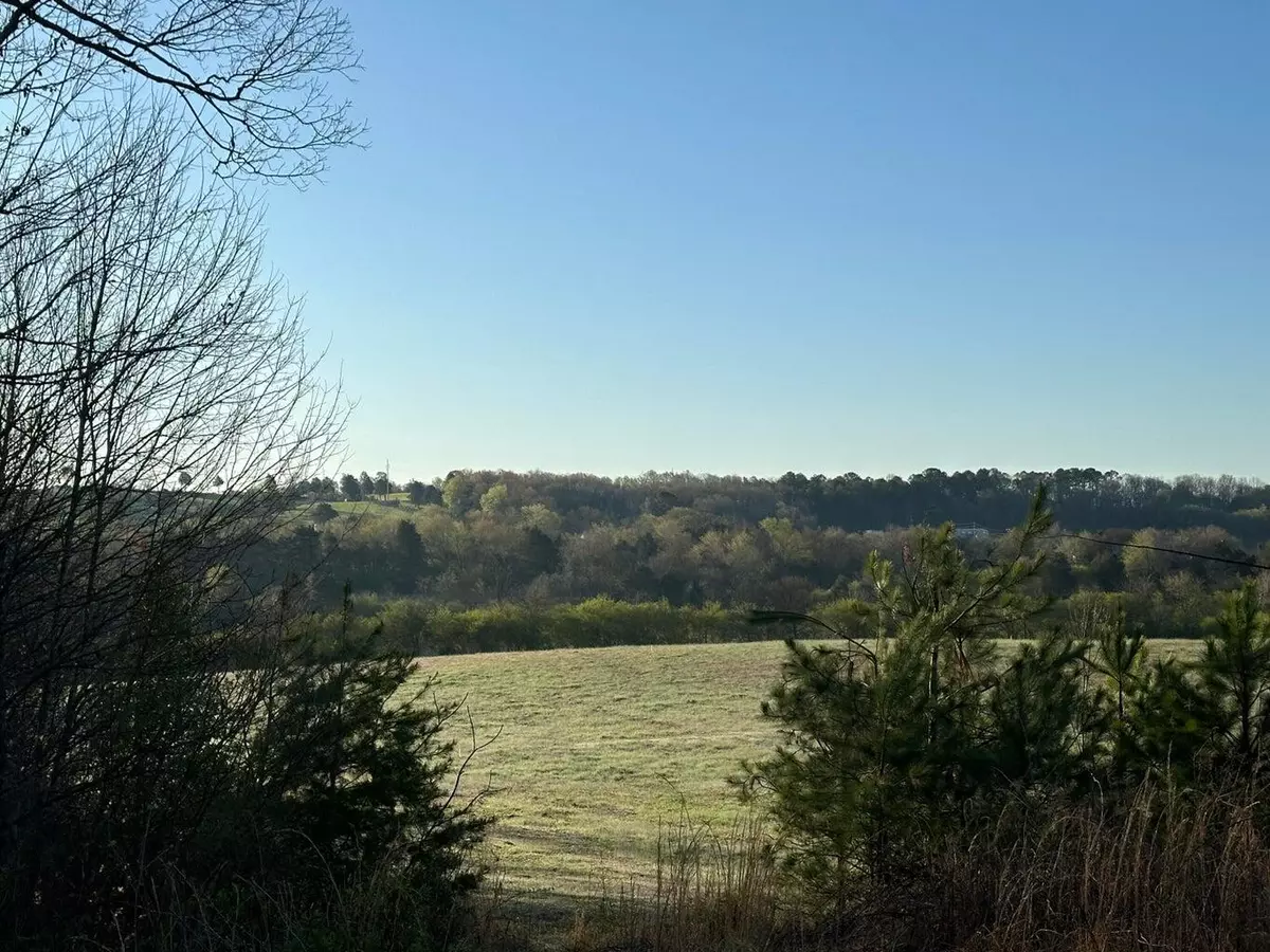 Cleveland, TN 37312,Lot 4 North Lee HWY