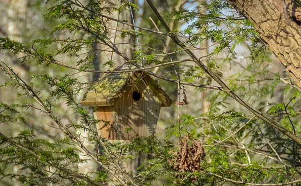 Signal Mountain, TN 37377,316 Brock Creek TRL