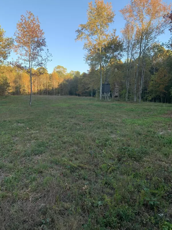 Bryant, AL 35958,7.72 Ac 660 County Road 724